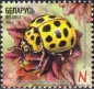 Belarus, 1070-73 **