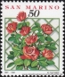 San Marino, 1503-07 **