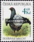 Tschechien, 178-81 oo