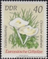 DDR, 1933-40 **