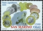 San Marino, 1980-81 **