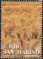 San Marino, 1998-05 **