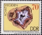 DDR, 2006-11 **
