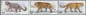 Russland, 2105-07 ZD-Satz **