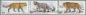 Russland, 2105-07 ZD-Satz **