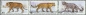 Russland, 2105-07 ZD-Satz **