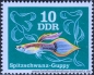 DDR, 2176-81 **