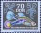 DDR, 2176-81 **