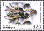 Belarus, 549-50 **