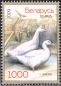 Belarus, 766-67 **