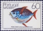 Madeira, 98-99 **