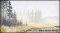 land, MH 8 **