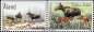 land, MH 8 ZD-Set **