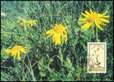 Liechtenstein, MK 135