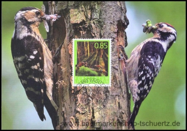 Liechtenstein, MK 302