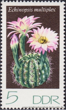 DDR, 1922-27 **