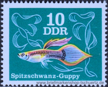 DDR, 2176-81 **