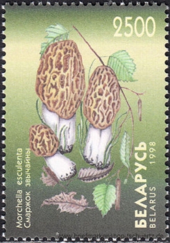 Belarus, 280-84 **