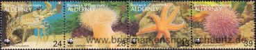 Alderney, 61-64 ZD **
