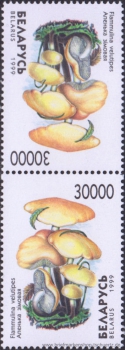 Belarus, 330-33 KD **