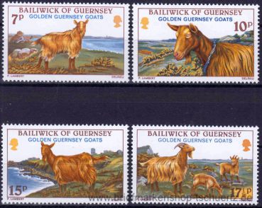 Guernsey, 209-12 **