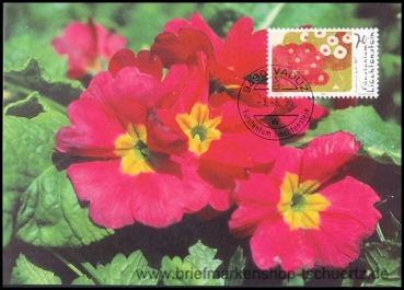 Liechtenstein, MK 142