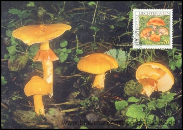 Liechtenstein, MK 151