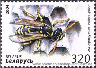 Belarus, 549-50 **