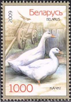 Belarus, 766-67 **