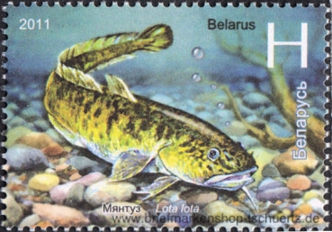 Belarus, 870-71 **
