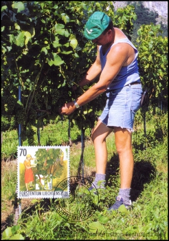 Liechtenstein, MK 219