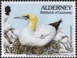 Alderney, 82 **