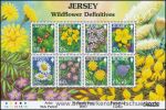Jersey, 1290-97 ZD-KB **
