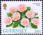 Guernsey, 604 A **