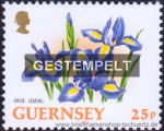 Guernsey, 634 oo