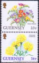 Guernsey, S 72 **