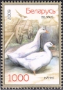 Belarus, 766-67 **